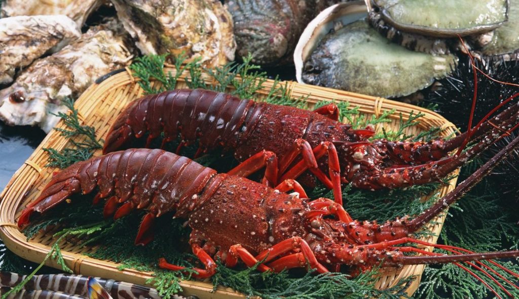 Chuyện tôm hùm và râm bụt